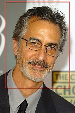 Official profile picture of David Strathairn